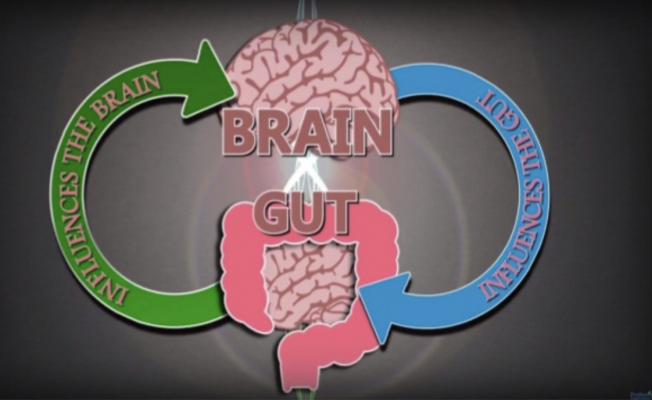 Gut-Brain Connection - the link between stress and IBS